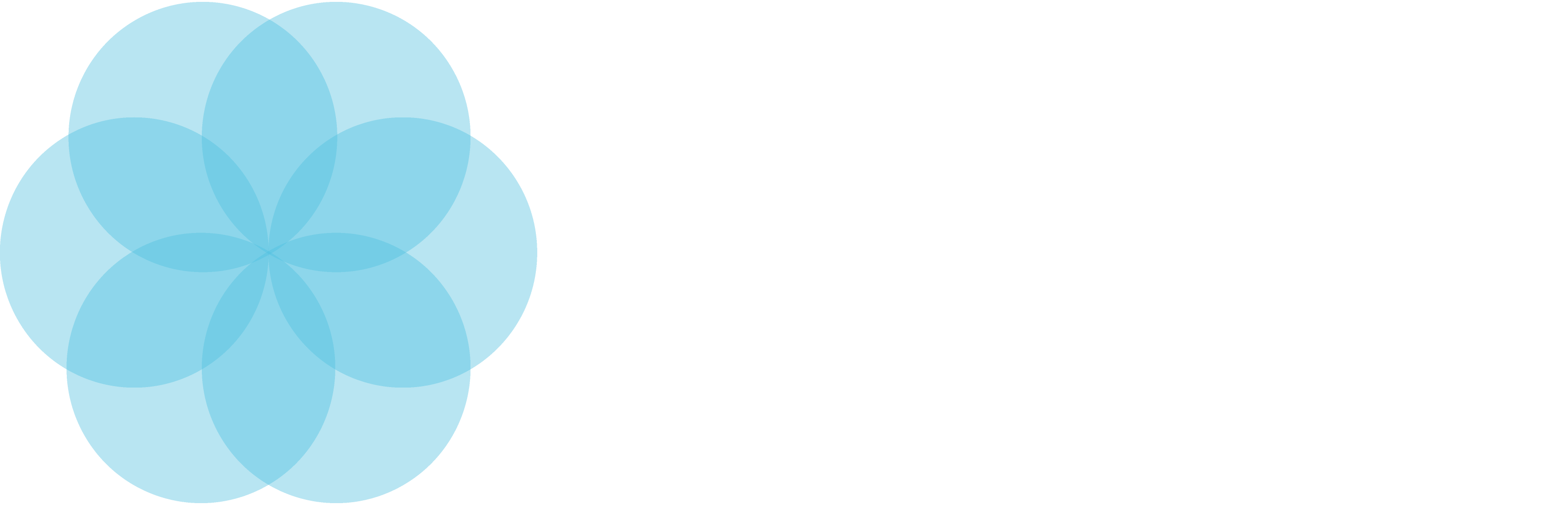 Salsify Logo